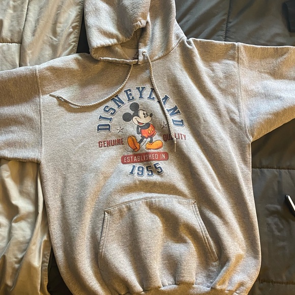 Other - Adult medium Disneyland gray sweatshirt